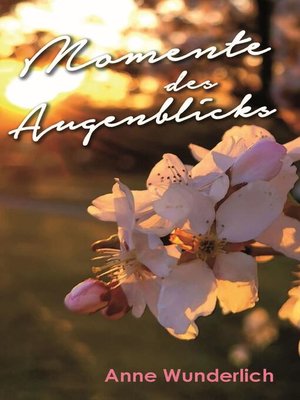 cover image of Momente des Augenblicks
